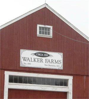 Walker Farms Tree Farm